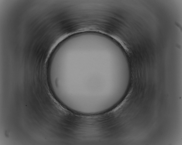 X0000093211118200709261420