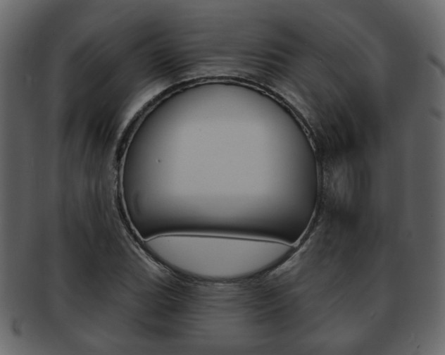 X0000093211119200709261420
