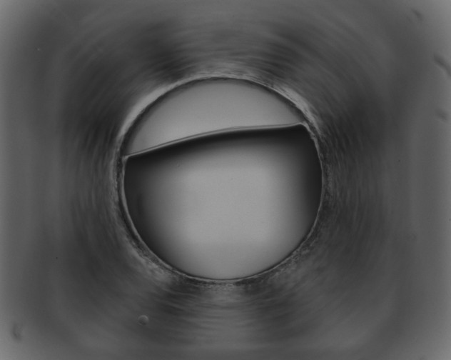 X0000093211120200709261420
