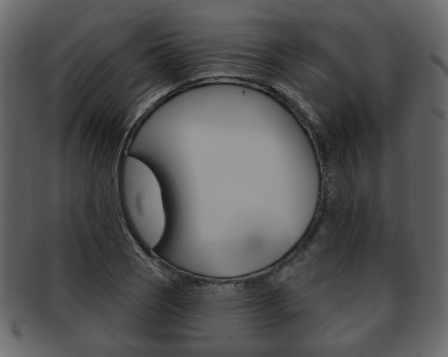 X0000093211121200709261420