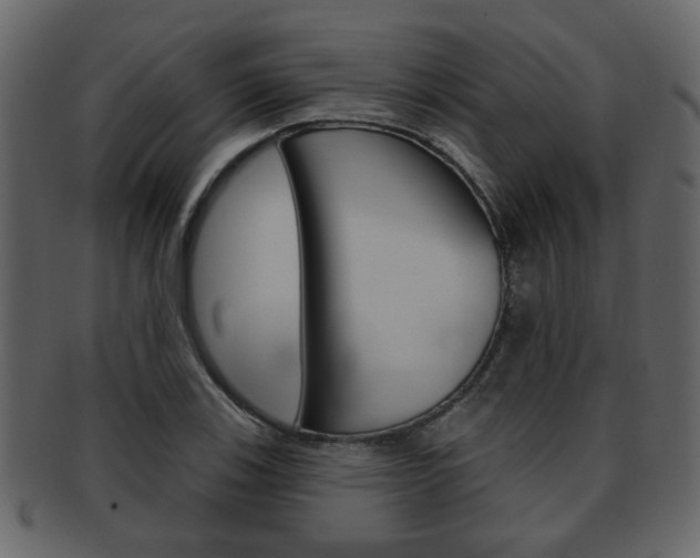 X0000093211123200709261420