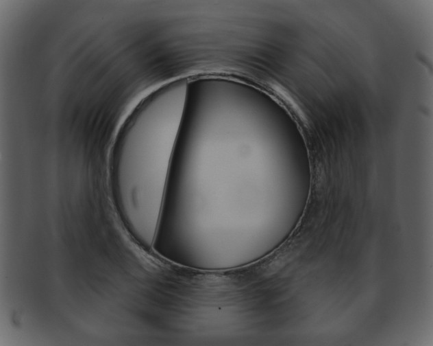 X0000093211124200709261420