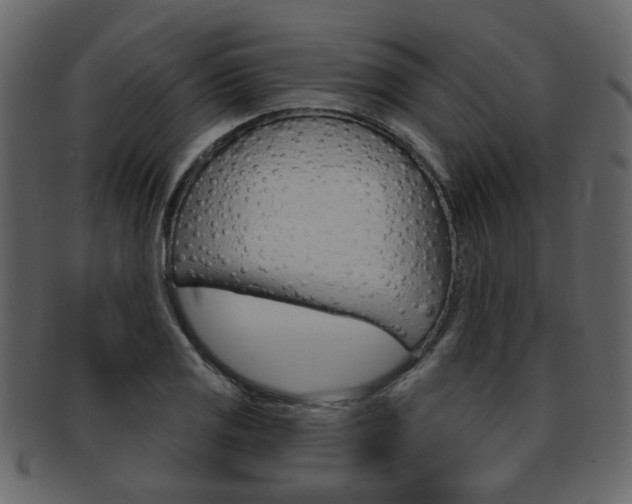 X0000093211125200709261420