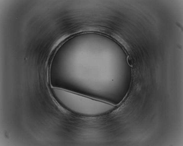 X0000093211127200709261420