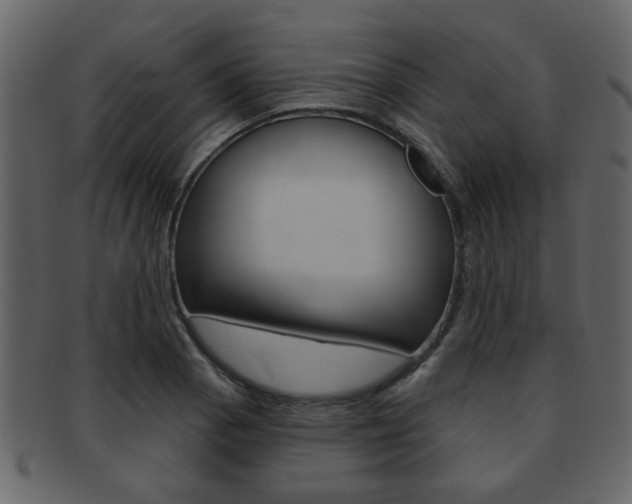 X0000093211129200709261420