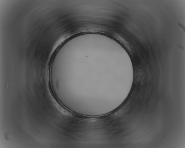 X0000093211130200709261420