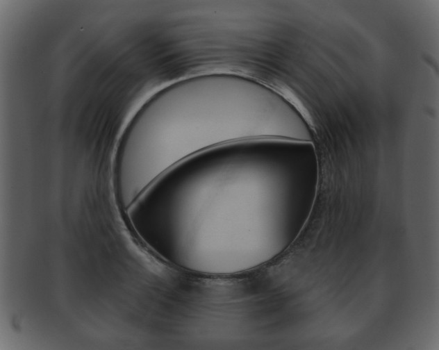 X0000093211132200709261420