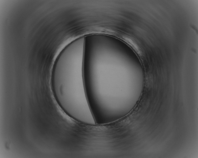 X0000093211136200709261420