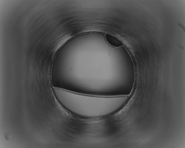 X0000093211137200709261420