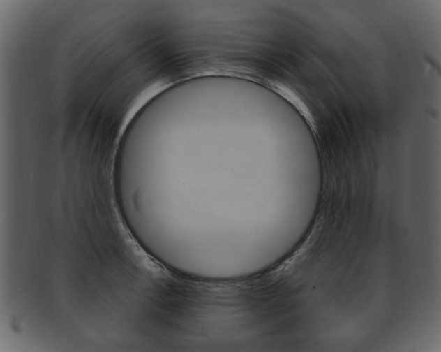 X0000093211138200709261420