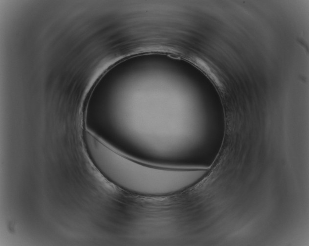 X0000093211140200709261420