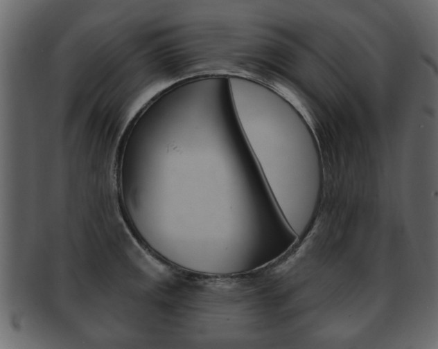 X0000093211141200709261420
