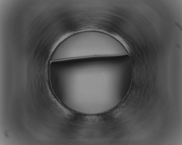 X0000093211142200709261420