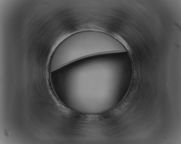 X0000093211144200709261420