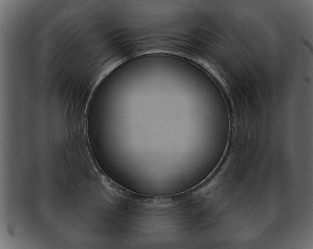 X0000093211145200709261420
