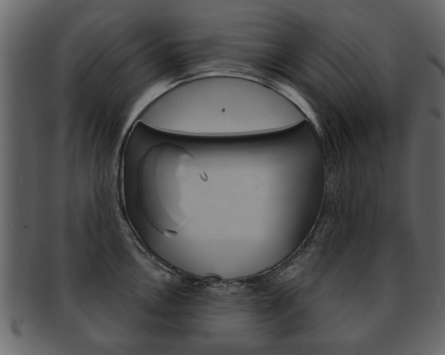 X0000093211146200709261420