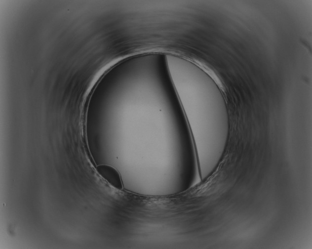 X0000093211148200709261420