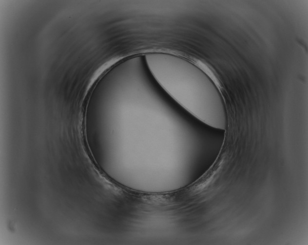 X0000093211149200709261420