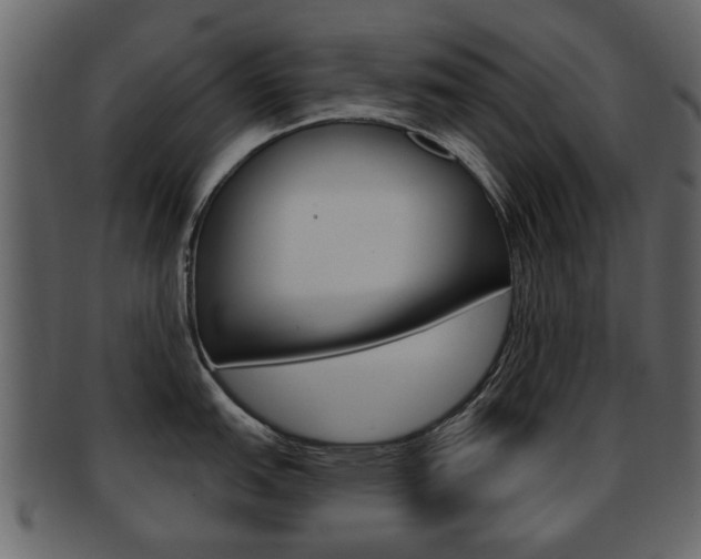 X0000093211151200709261420