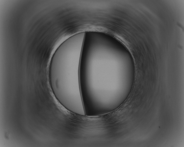 X0000093211152200709261420