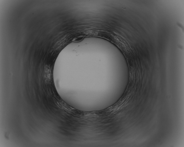 X0000093211154200709261420