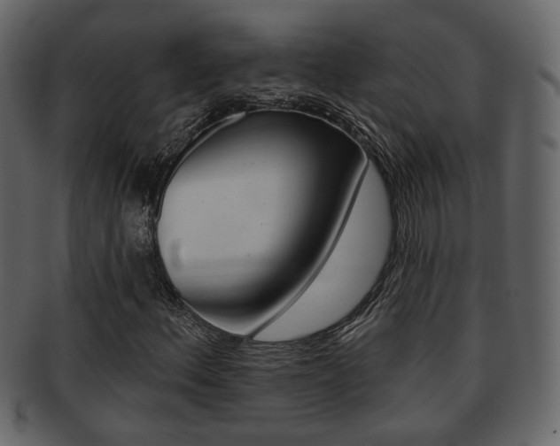 X0000093211156200709261420