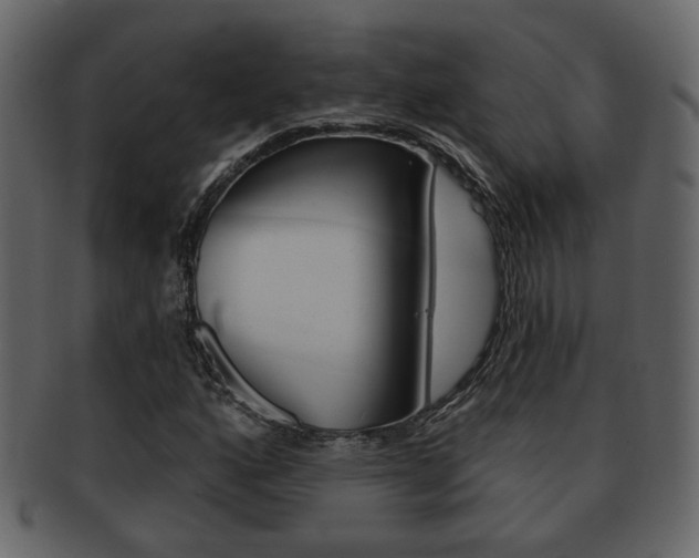 X0000093211160200709261420