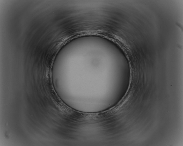 X0000093211161200709261420