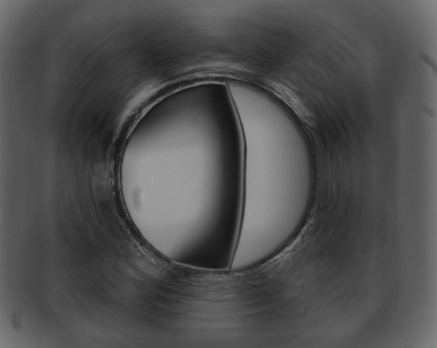 X0000093211164200709261420