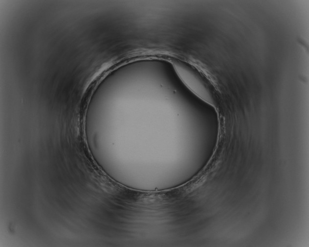 X0000093211165200709261420