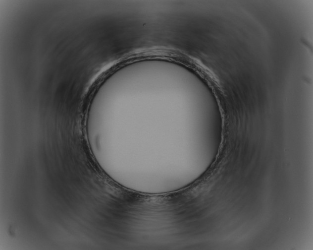 X0000093211166200709261420