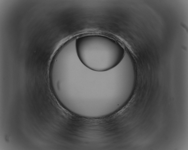 X0000093211168200709261420