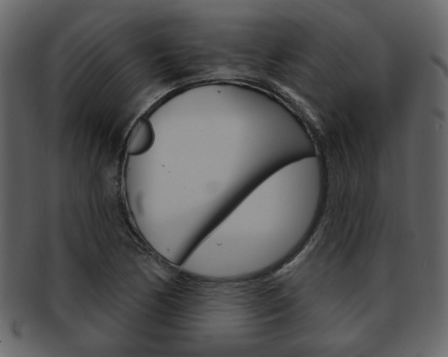 X0000093211170200709261420