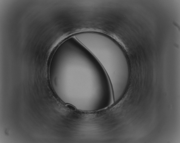 X0000093211173200709261420