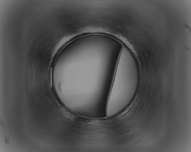 X0000093211175200709261420