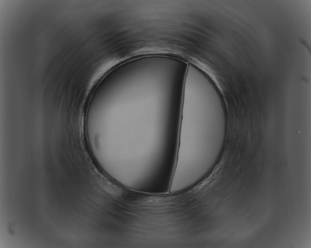 X0000093211179200709261419