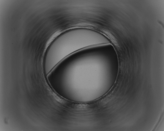 X0000093211180200709261419