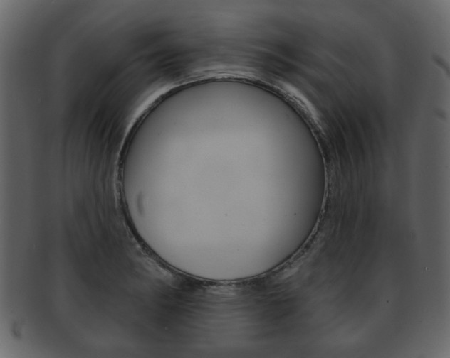 X0000093211182200709261419