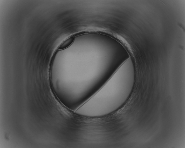 X0000093211183200709261419