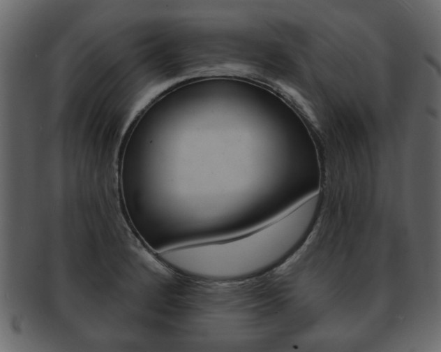 X0000093211184200709261419