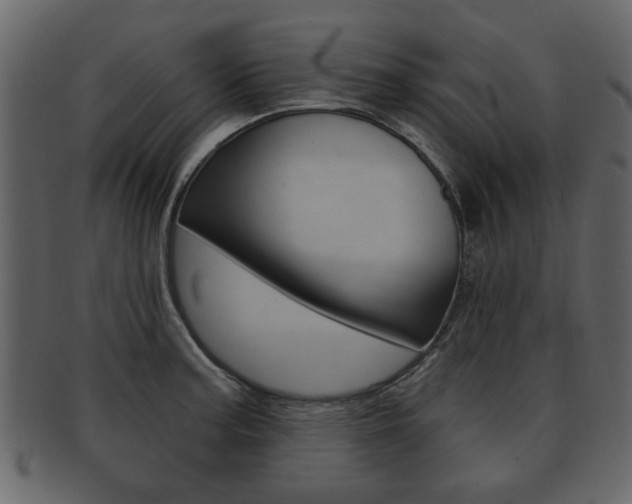 X0000093211187200709261419