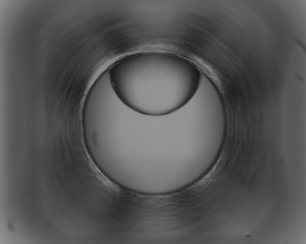 X0000093211192200709261419