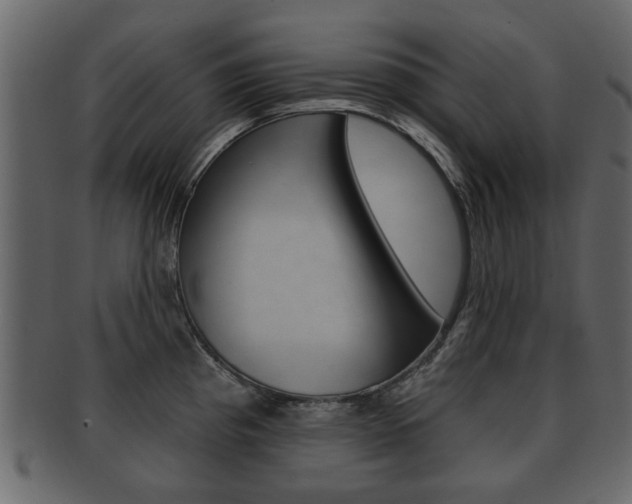 X0000093211193200709261419