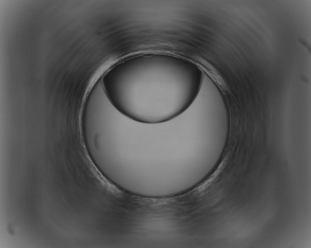 X0000093211196200709261419