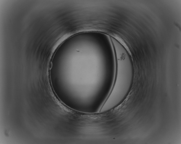 X0000093211197200709261419
