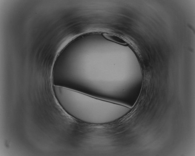 X0000093211199200709261419