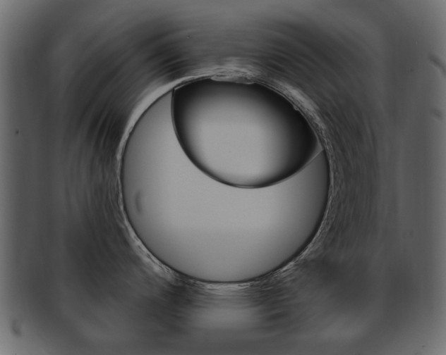 X0000093211200200709261419