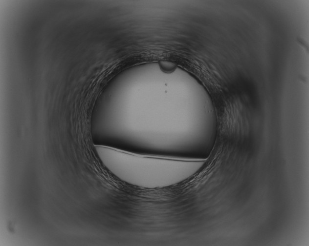 X0000093211201200709261419