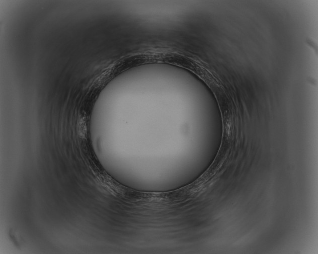 X0000093211204200709261419