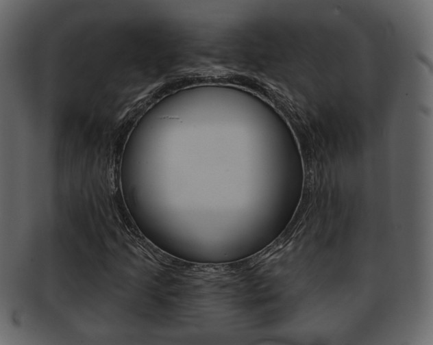X0000093211205200709261419